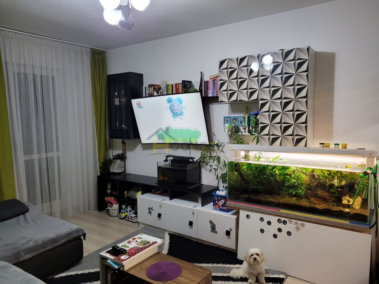 Apartament 2 camere decomandat Drumul Jilavei - Poză 2