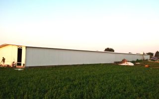 Ferma de gaini ouatoare in sistem free-range | 45.000 mp teren - Poză 1