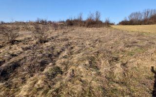 Teren 2100 mp in Zona Valea Stanelor - Poză 3