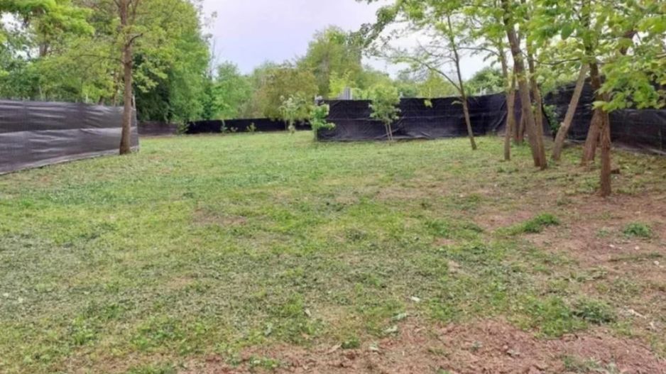 Casa de vanzare Peris | 2 camere | teren 2000mp - Poză 3