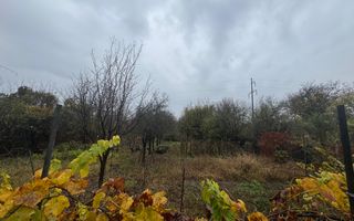 COMISION 0% | 2 Case Individuale | Zona Freidorf | 5 Camere | - Poză 22