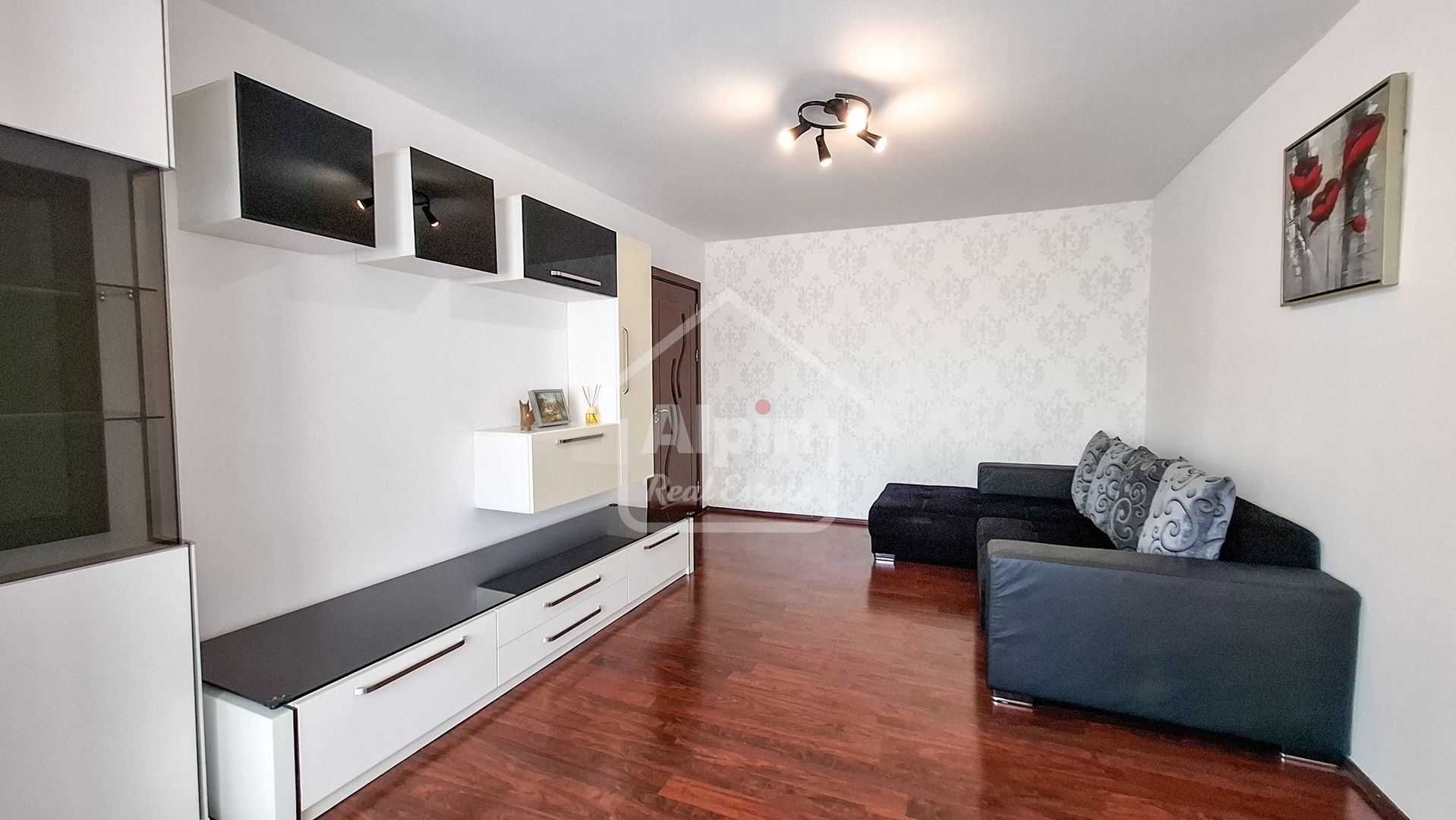 Apartament Suprafata Generoasa - Poză 4