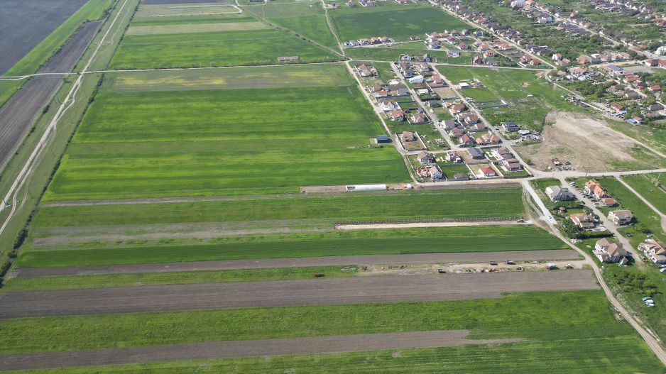 Loc de casa de 504 mp în Livada - Poză 20