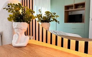 Apartament cu 2 camere cu gradina - Mosnita - Poză 4
