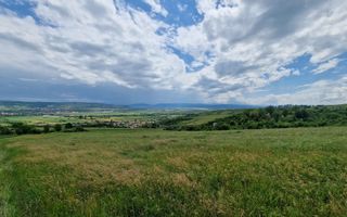 Teren extravilan de vanzare, Paclisa - Poză 8