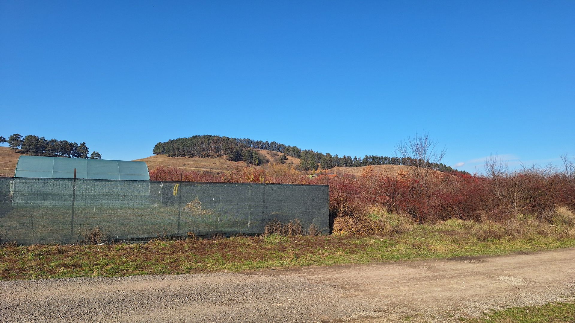 Teren intravilan Sanpetru livada PUZ 2564mp - Poză 4