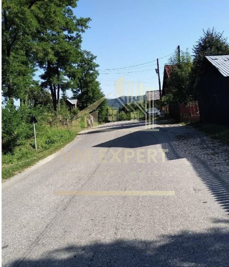 TEREN INTRAVILAN 5000 MP, BRADULET, ARGES - Poză 2