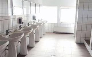 hale in parcul Roman sau tractorul - Poză 9