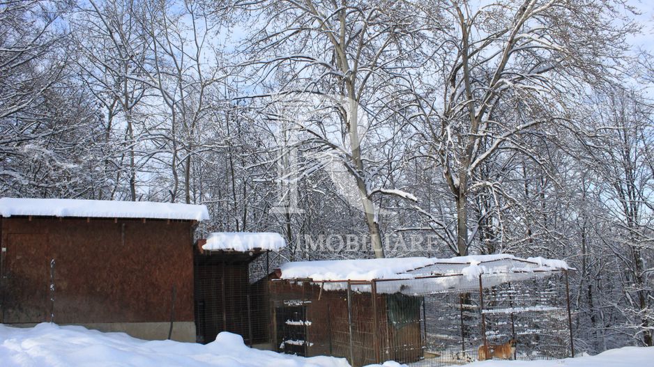 Proprietate rară | 4458 mp teren intravilan | Casă solidă, natură, liniște totală. | Bratca, Bihor. - Poză 58