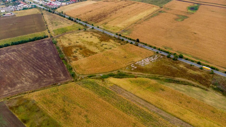 Teren de 19798mp în Zimandu Nou - Poză 10