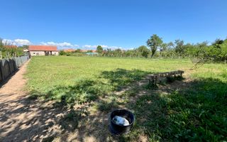 Teren Împrejmuit, 3514mp, Asfalt, Ciugud - Poză 3