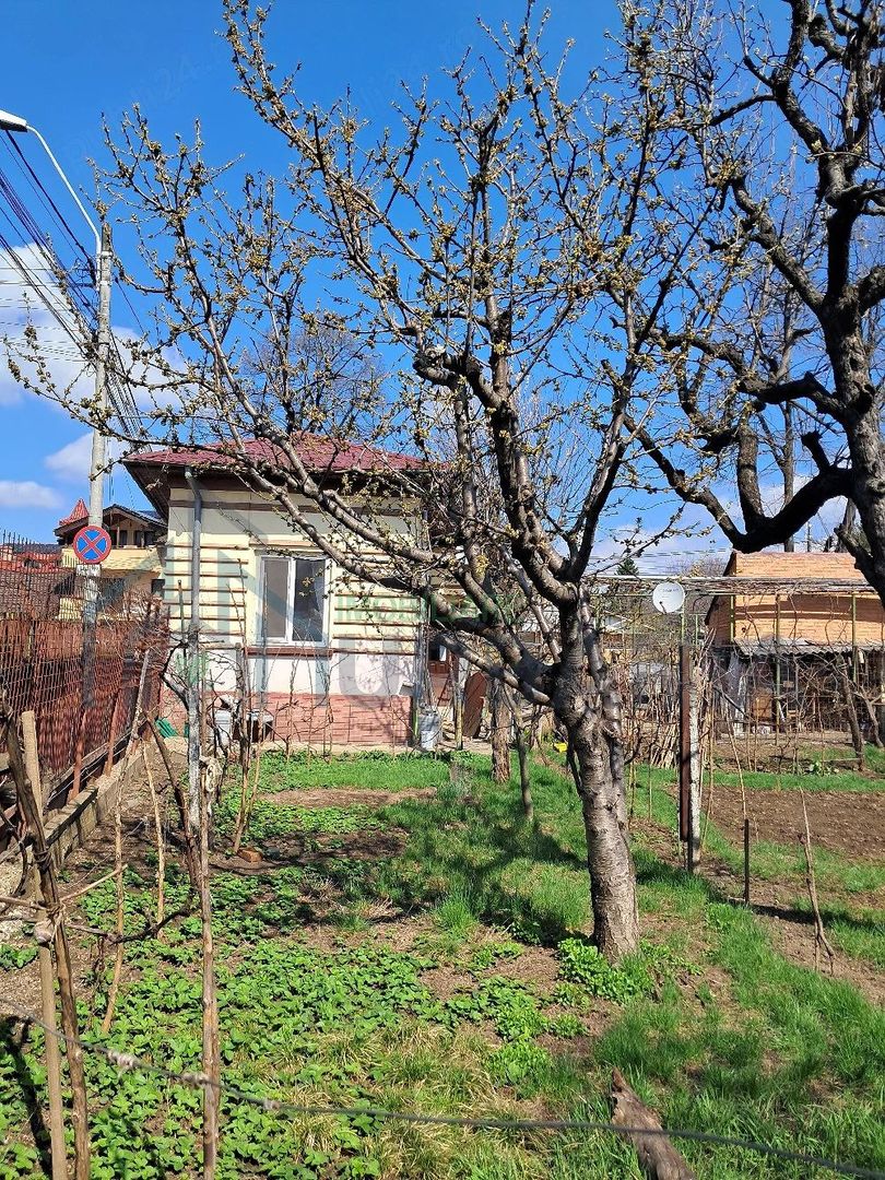 Casă cu teren în intravilan, Iași - Poză 3
