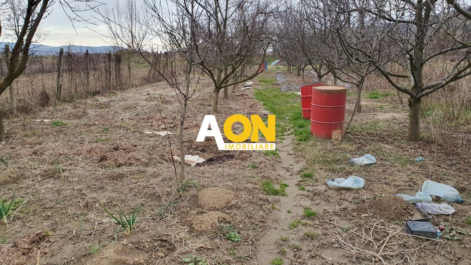 Casa semifinisata, D+P+M, 5 camere, 1750 mp teren, Sard, com. Ighiu - Poză 3