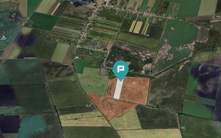 Teren extravilan de 28900 mp în Variașul Mare - Poză 2