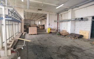 Proprietate industriala la 30 km exterior sud Timisoara - Poză 43