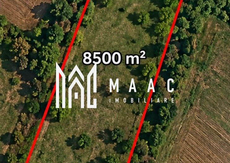 Teren 8500MPU I Ideal Cabana I Construcții I Acces 2 drumuri - Poză 2