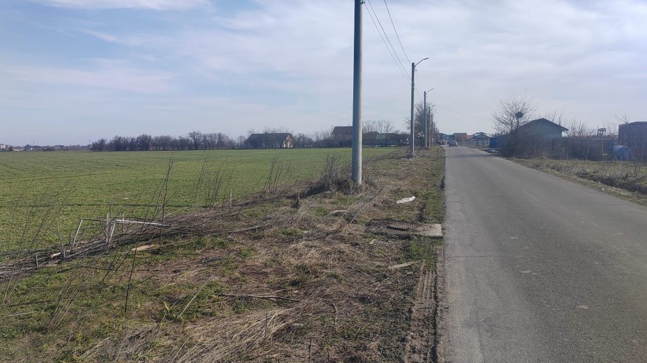 Cernica Tanganu super pret rezidential sau depozitare - Poză 1