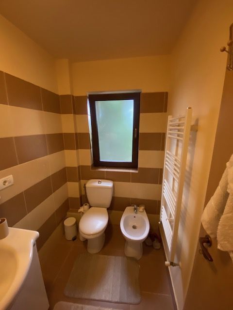 Duplex cu piscina Dumbravita Zona PADURE - Poză 19