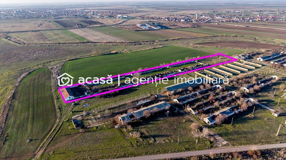 NĂDLAC | Teren 1.15 HA lângă Autostradă | 2.500mp Hale - Poză 2