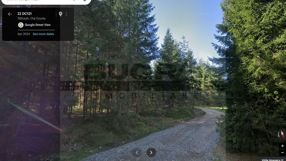 Teren intravilan, 1400 mp, Balcesti, Belis - Poză 2