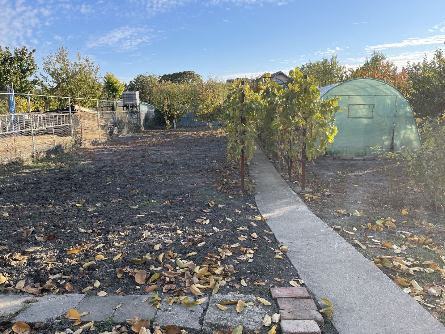 Teren ideal pentru constructie noua-800 mp cu front 22 ml - Poză 3