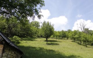 Teren intravilan 77 ari + casa | Nasaud | - Poză 1