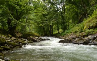 Teren cu PUZ pentru Case de vacanta, loturi de  la 600 la 1000 mp - Poză 4