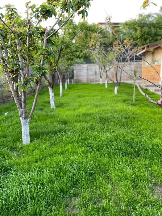 Casa Sendreni,mobilata si utilata - Poză 8