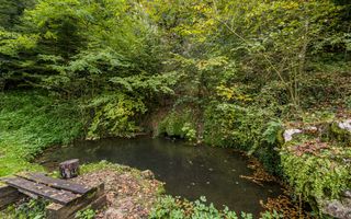 Domeniu în satul Căprioara - Poză 17