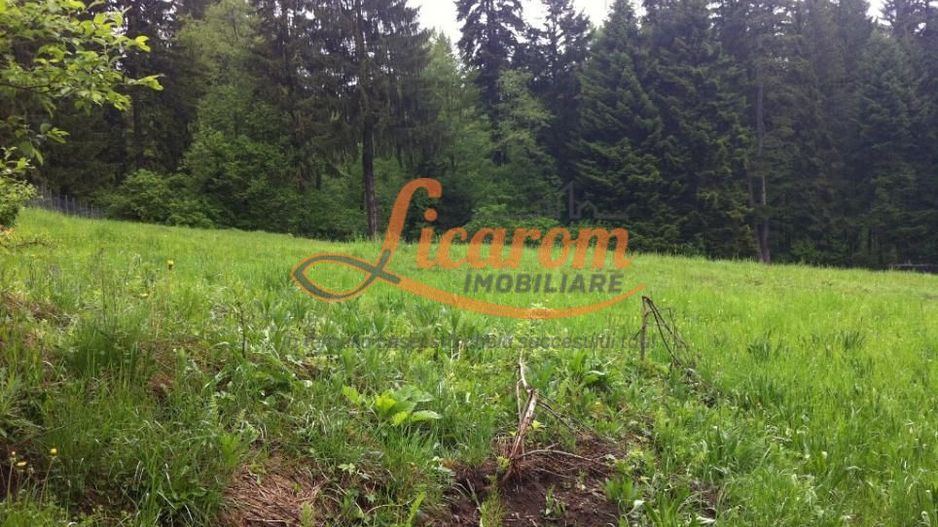 Teren intravilan Cotul Donului,pretabil Hotel/pensiune. - Poză 12