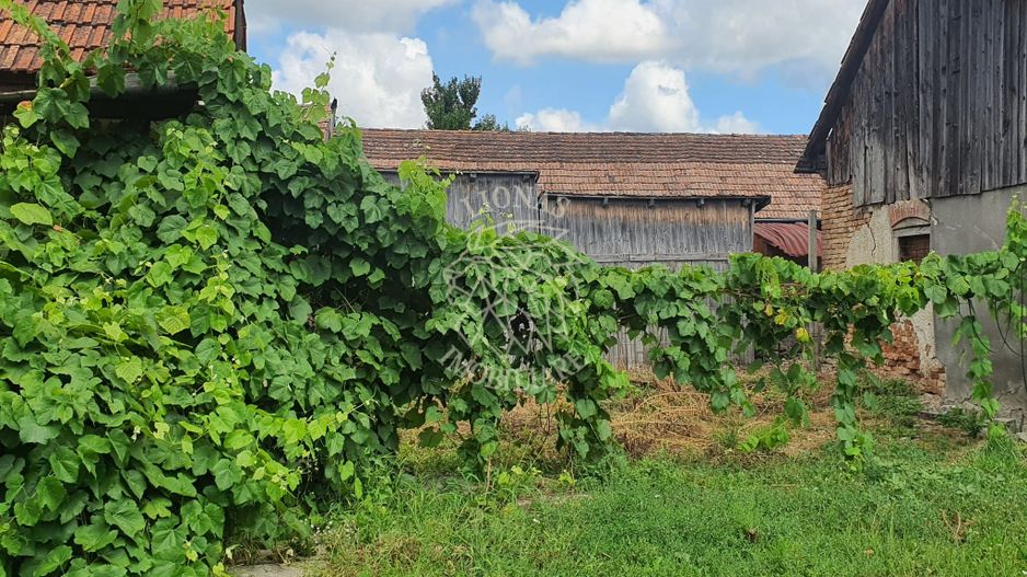 Casa 3 camere 126 mp-teren 4000 mp-Loc. Matei, Zona Centru - Poză 8