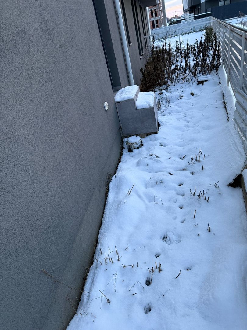 Braytim | 2 Camere | Curte proprie | Mobilat si Utilat - Poză 10