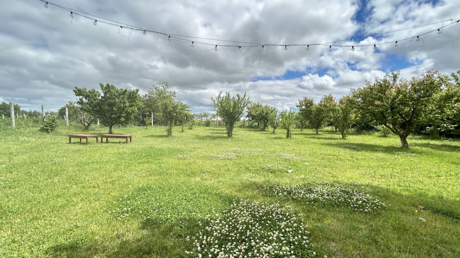 Casa P+M ideala pentru 2 familii – aproape de Techirghiol/Eforie - Poză 5