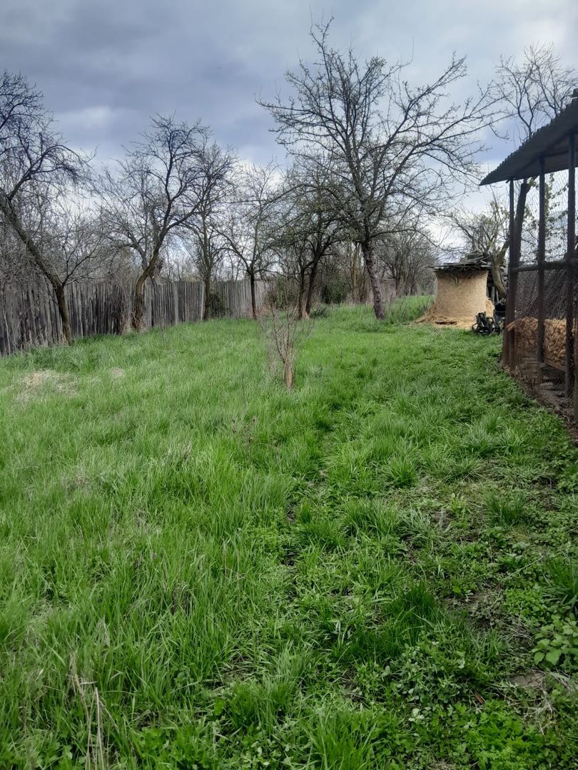 Teren de vanzare in Vaidei - Poză 5