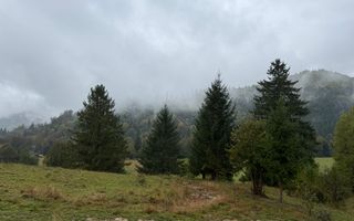 Teren Extravilan | 6.100 mp | Brodina | 41.500 € negociabil - Poză 4