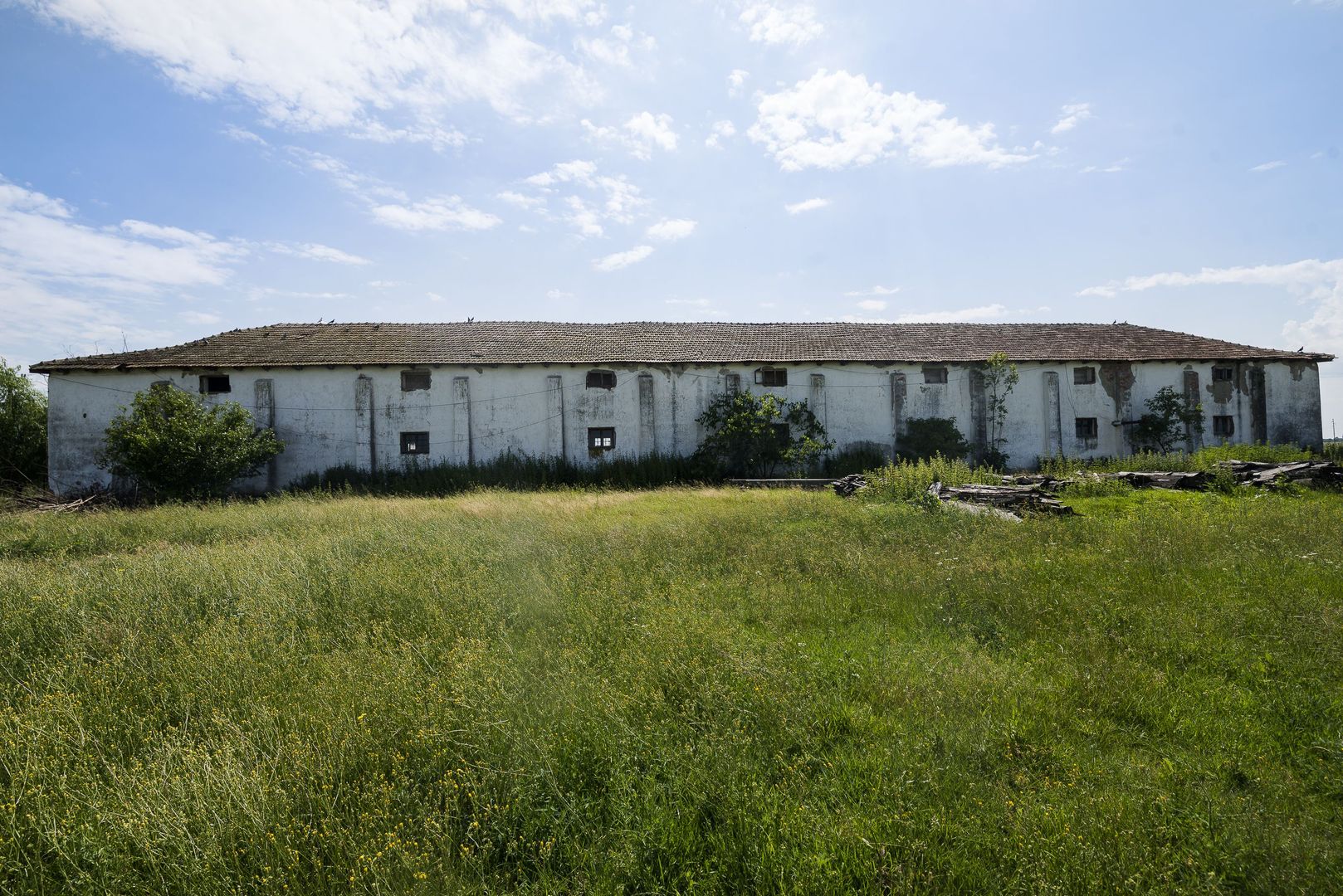 Oportunitate de investiție în localitatea Zărand - Poză 9