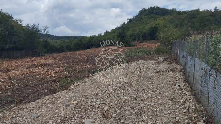 Teren 1200 mp-pretabil casa si gradina-Viisoara - Poză 1