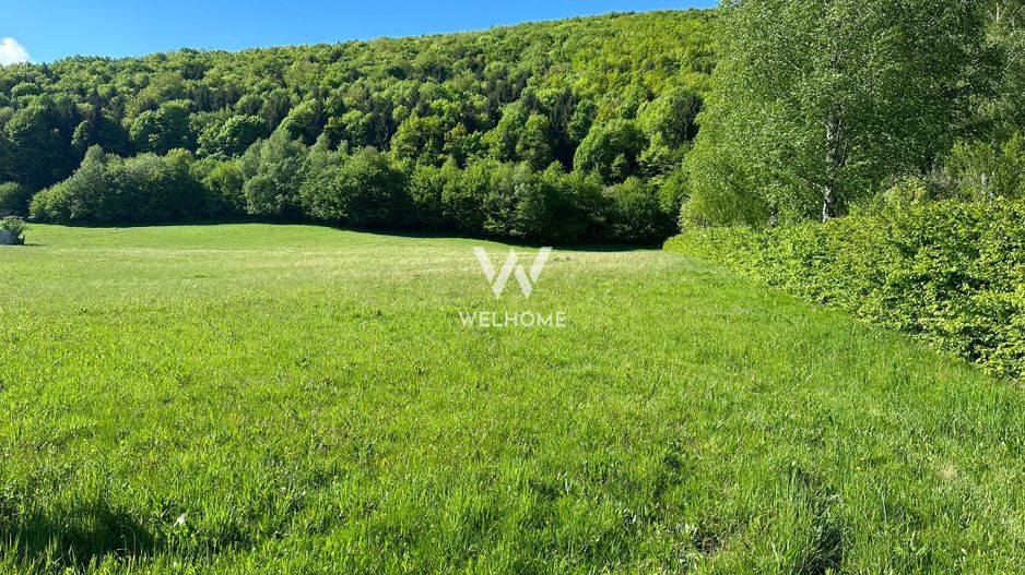 Teren Intravilan in Tocile-priveliste deosebita - Sadu - Sibiu - Poză 2