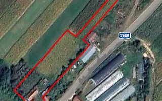 Casa la tara, gaz, acces auto, teren 4122 mp – Petid, Bihor – VANZARE - Poză 18