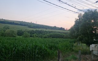 Teren intravilan 36 ari | Viile Teci | Strada Principală - Poză 4