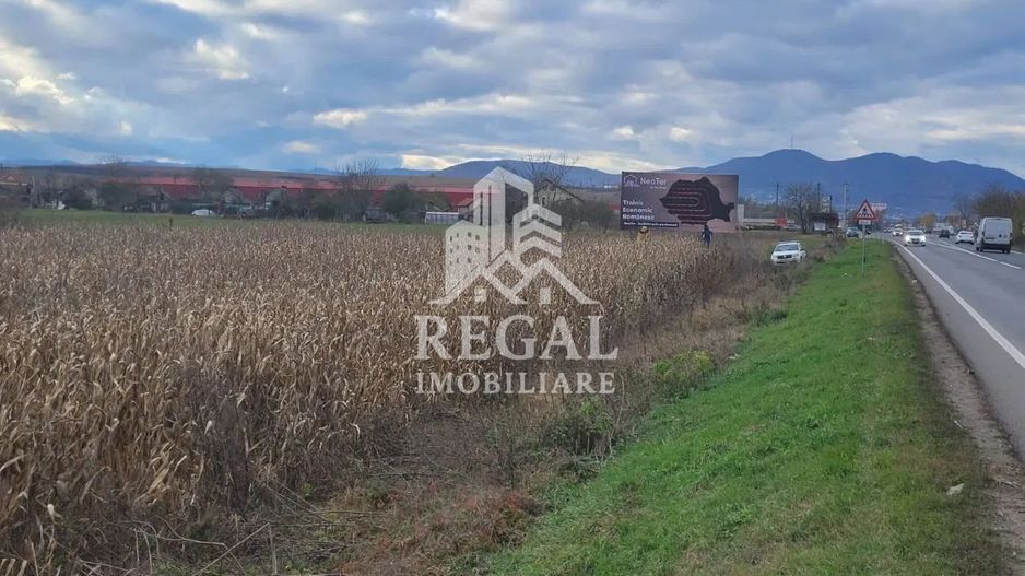 Teren intravilan 3800 mp, zona Santandrei - Poză 4