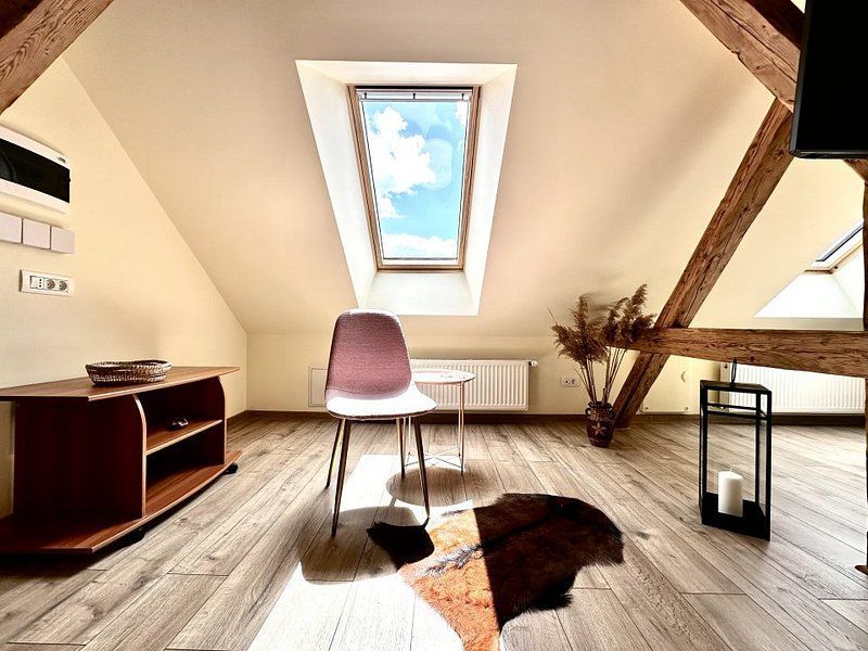 Închiriere casă cu grădină și șemineu în Timișoara – Stil și confort! - Poză 6