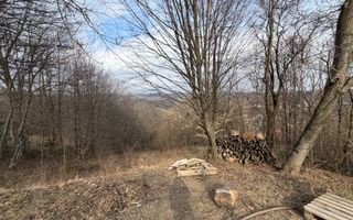 Teren *3895mp* - P+2 / Studiu Geo // Breaza - Prahova - Poză 6