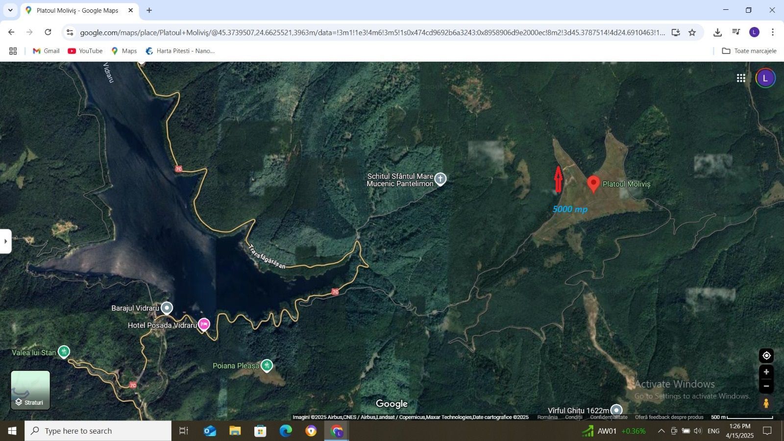 Vanzare teren 5000 mp Transfagarasan - Molivis - Poză 2