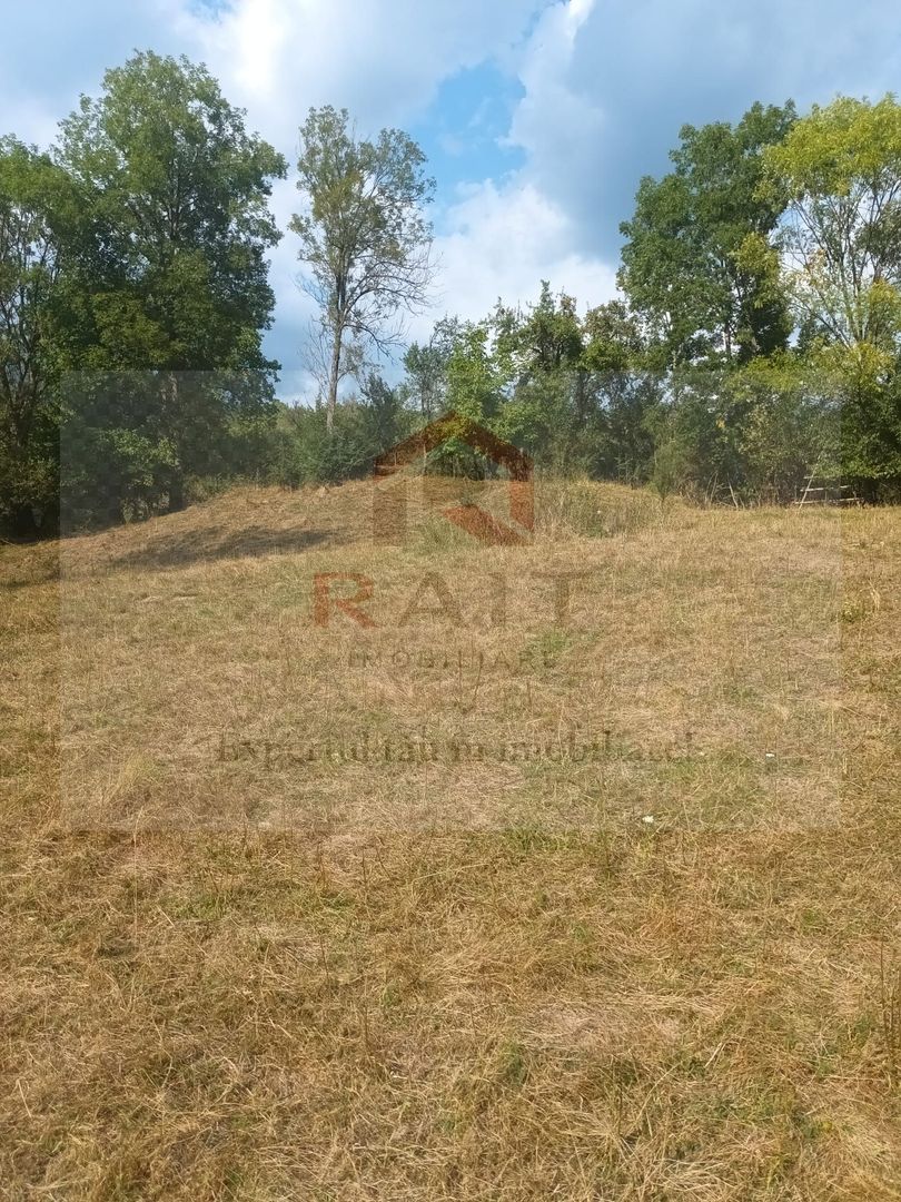 Teren de vanzare Coebeni-Turburea-Arges - Poză 4