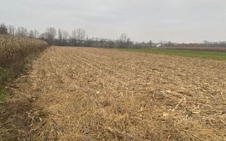 Teren Intravilan | Fratautii Noi | 64 Ari - Poză 3
