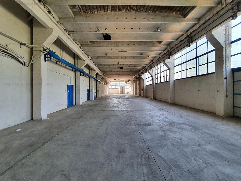 Hala De Inchiriat, zona Depozitelor Pitesti - Poză 8