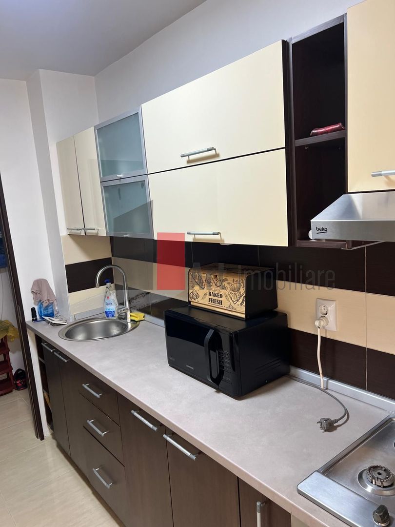 Apartament cu doua camere de inchiriat-Pantelimon-Costin Giorgian - Poză 10