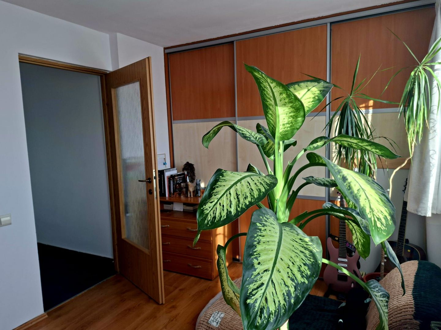 Apartament de vanzare in Buna Ziua | Parcare - Poză 5