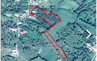 CASA 3 CAMERE, TEREN 7500 MP, VALEA MARE PRAVAT, ARGES - Poză 6